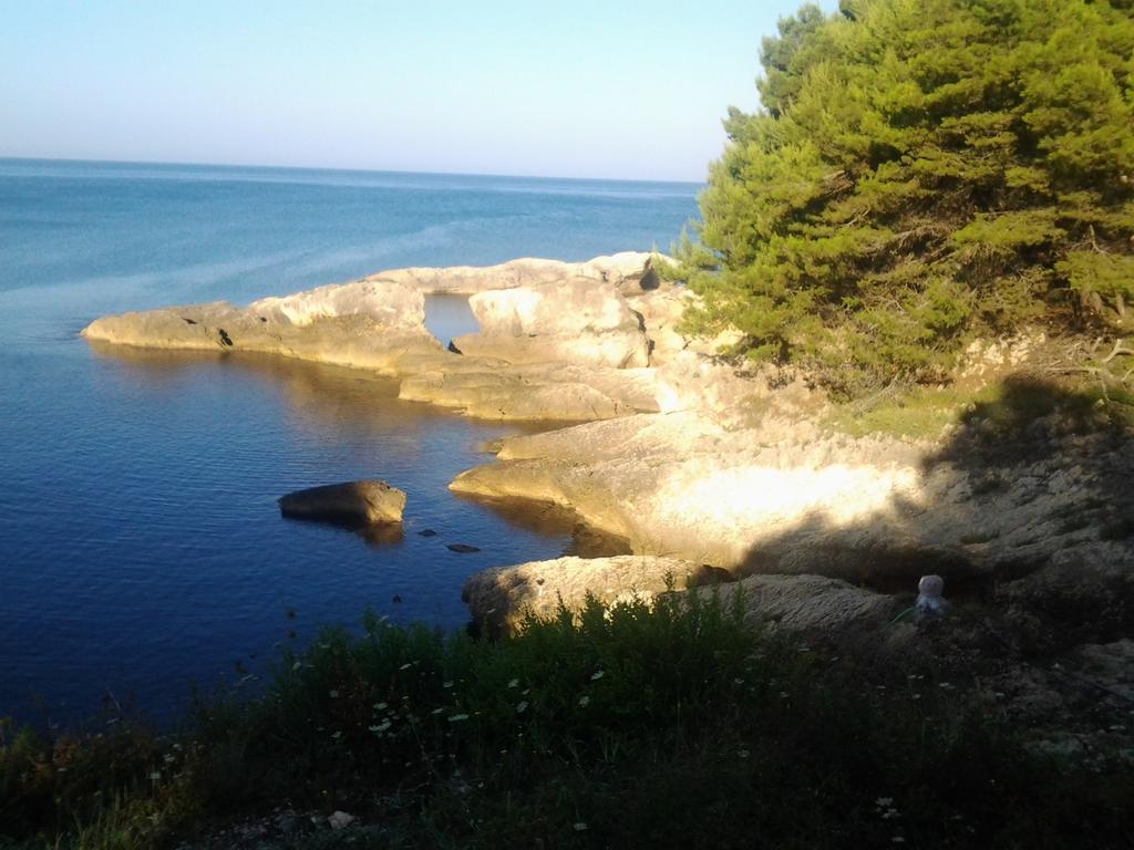 אולסינץ' Guest House Aldin מראה חיצוני תמונה