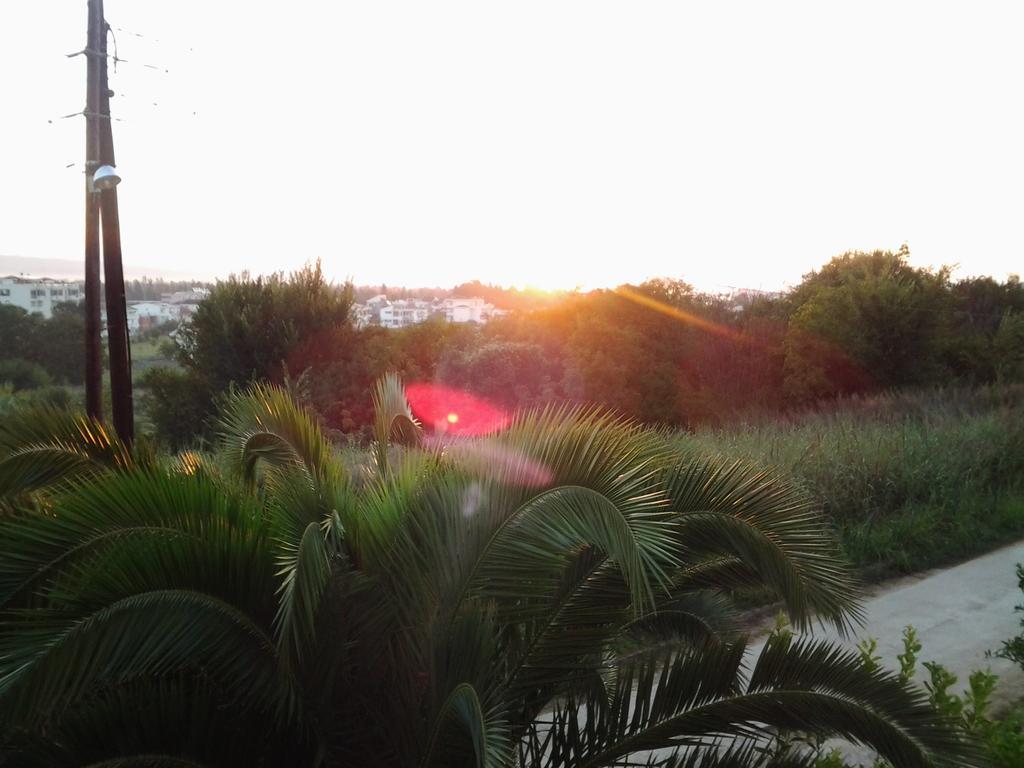 אולסינץ' Guest House Aldin מראה חיצוני תמונה
