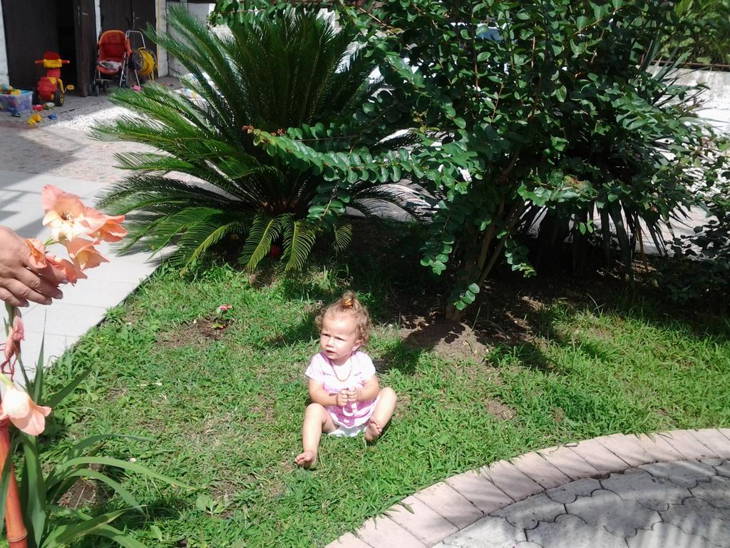אולסינץ' Guest House Aldin מראה חיצוני תמונה
